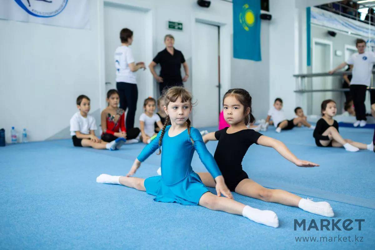 Спортивные секции для детей от 3 лет и кружки - куда можно отдать девочку и мальчика?