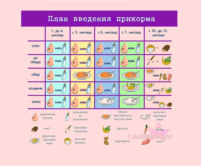 Педагогический прикорм при грудном и искусственном вскармливании: что это такое, правила, таблица введения продуктов / mama66.ru