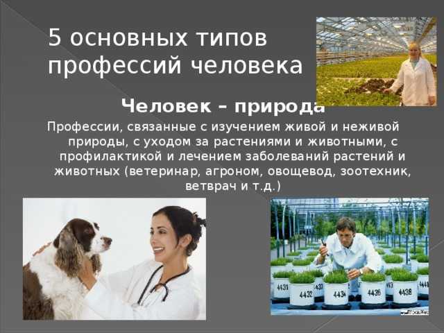 Кем могут работать животные. лучшие профессии, связанные с животными: 15 вариантов