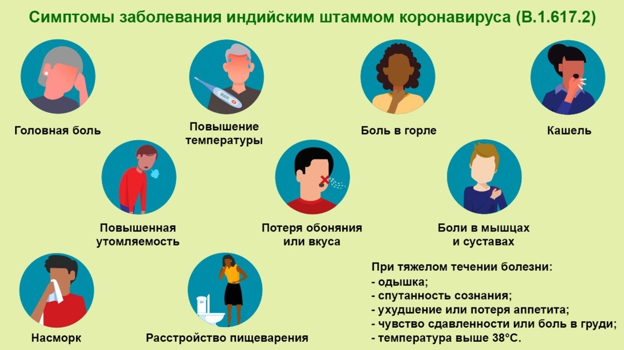 Симптомы коронавируса (covid-19) у человека — информация о коронавирусе