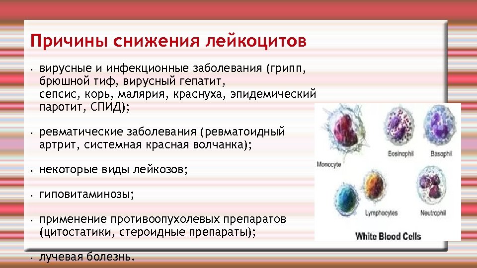 Почему могут быть повышены лейкоциты в крови у ребёнка — причины и симптомы; какова их норма