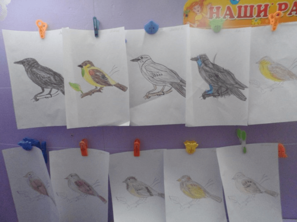 Тема перелетных птиц весной на уроках изо в подготовительных группах