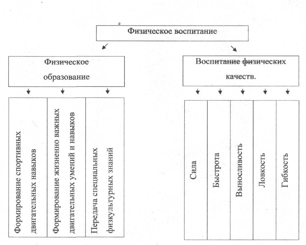 Физическое воспитание детей дошкольного возраста в доу