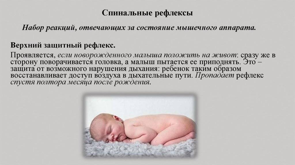 Правильные нормы рефлексов у новорожденных