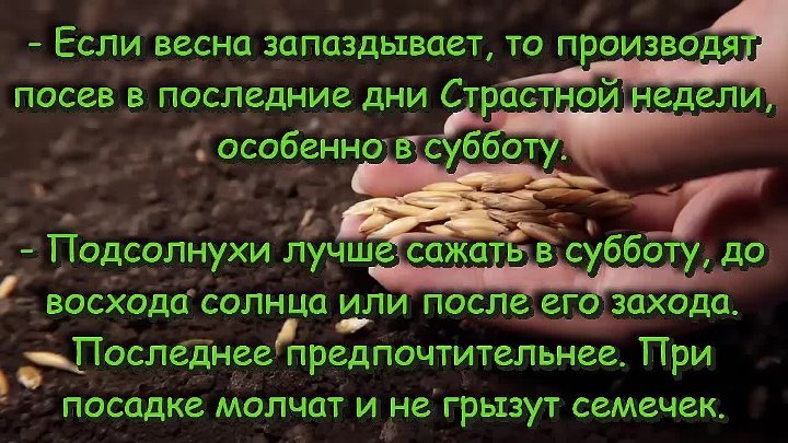 Почему детей нельзя сажать на стол? - вопросник.про