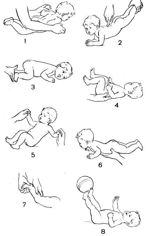 Во сколько ребенок сам переворачивается на живот. Упражнения для ползания ребенка 6 месяцев Комаровский. Упражнения для ползания ребенка 8 месяцев. Упражнения для ползания ребенка 5 месяцев. Упражнения для ползания ребенка 7 месяцев на четвереньках.