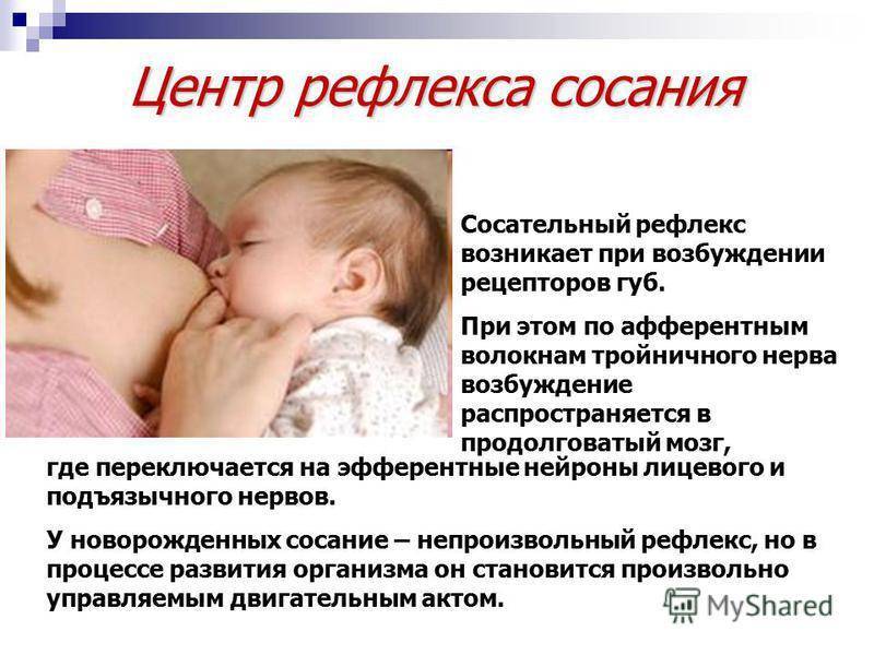 15 главных рефлексов новорожденного: как их проверить - parents.ru