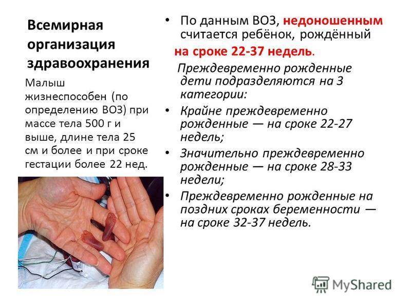 Пермские гинекологи - о критериях выхаживания недоношенных младенцев | медицинская россия