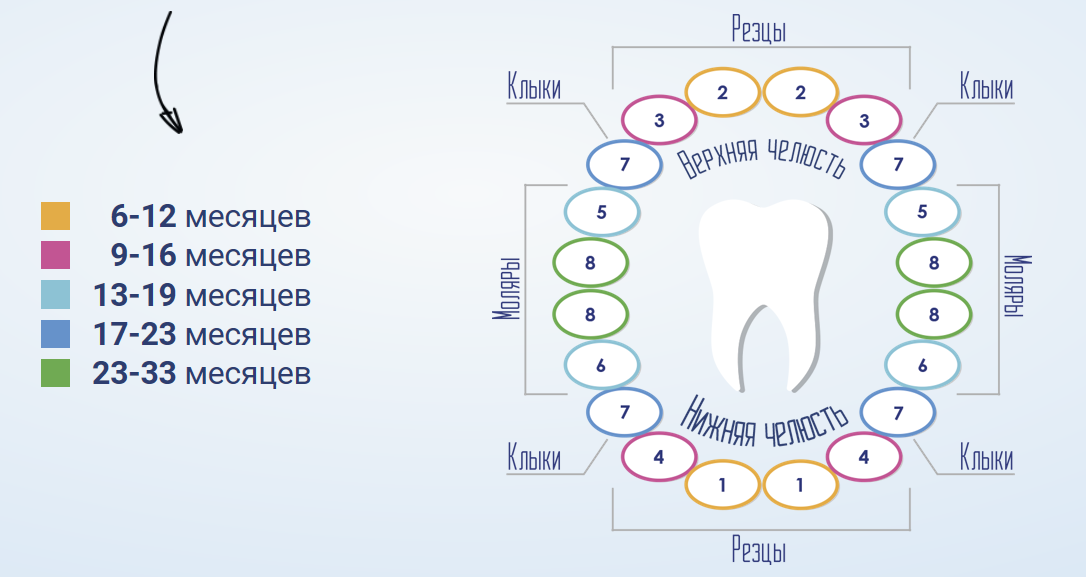 Сколько может длиться понос при прорезывании зубов