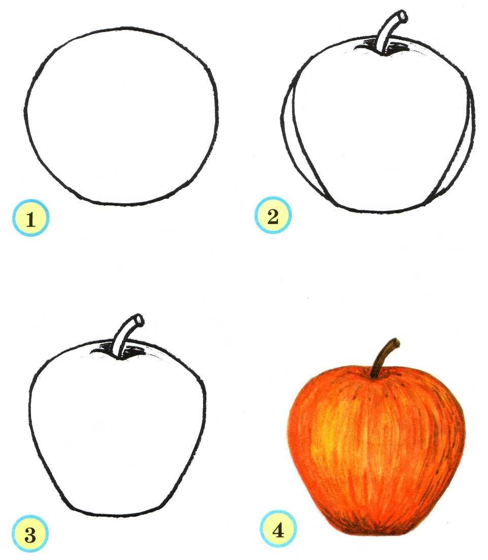 Конспект занятия «фрукты. рисование на тему «любимые фрукты»