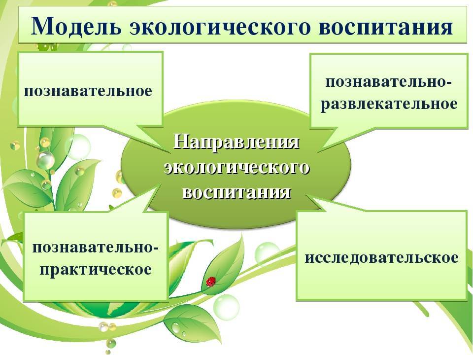 План работы по экологическому воспитанию