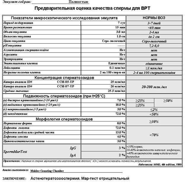 Образец результата спермограммы