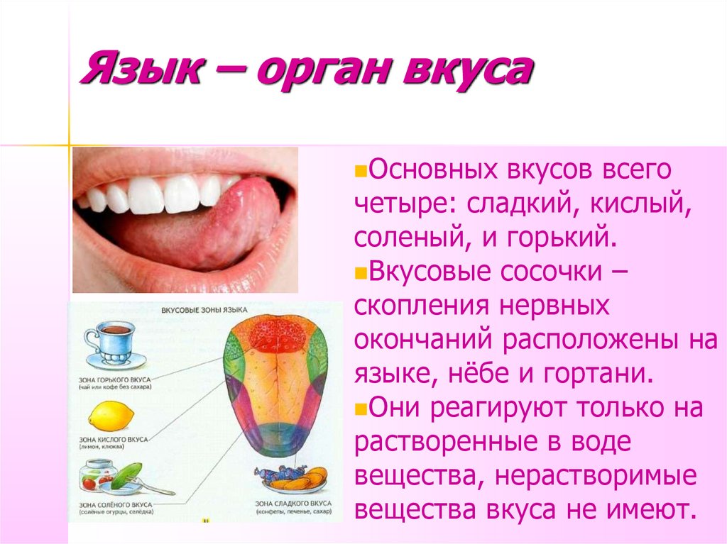 Пресс-центр