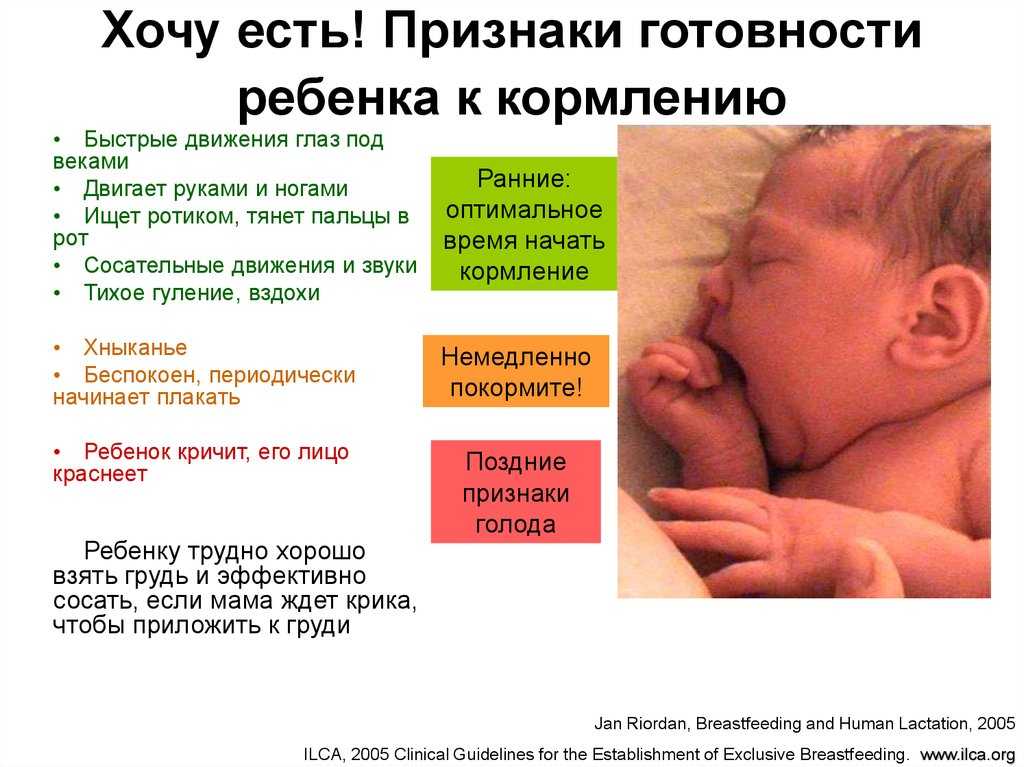 Истерика младенца: 8 уважительных причин, почему малыш плачет