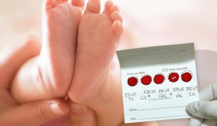 Анализы у новорожденных в роддоме: какие берут, на генетические заболевания, кровь из пяточки, на билирубин / mama66.ru