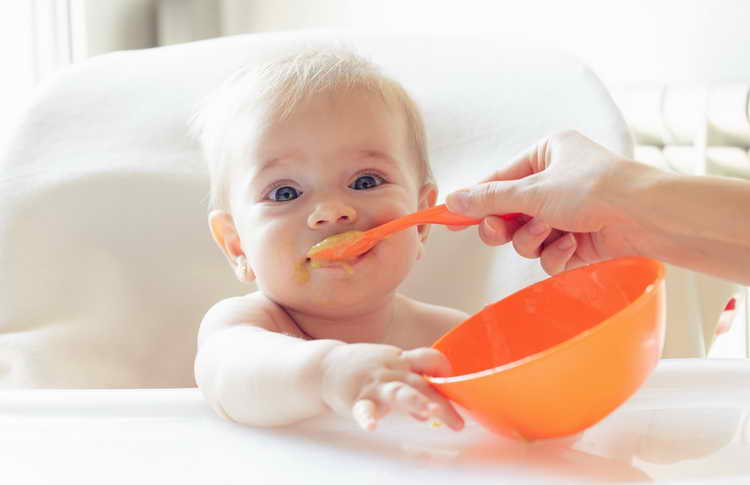 Ребенок не жует в 1-1.5, 2 года: что делать, как научить ребенка жевать и глотать твердую пищу? жевательный рефлекс у ребенка: доктор комаровский