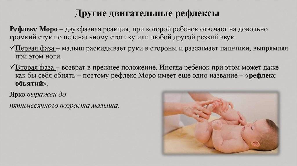 15 главных рефлексов новорожденного: как их проверить - parents.ru