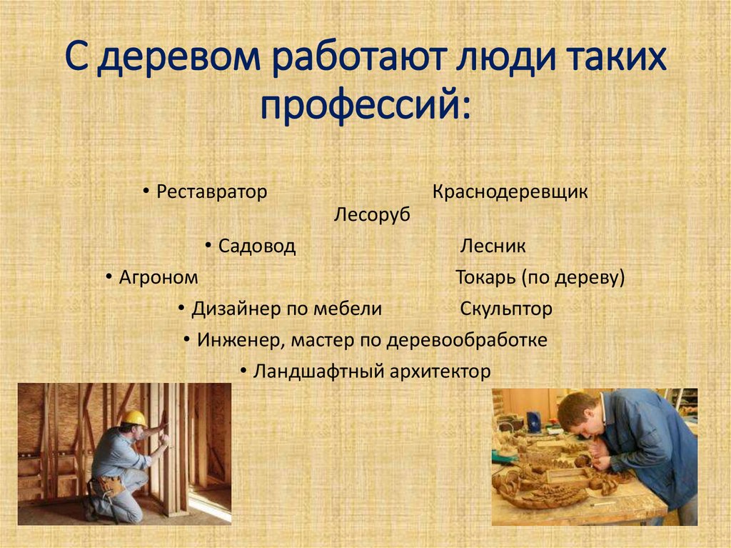 Разнообразные профессии, связанные с миром литературы
