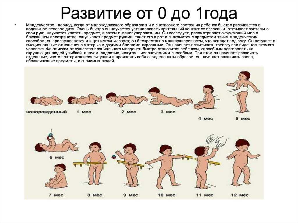 Что должен уметь ребёнок по месяцам до года (таблица)