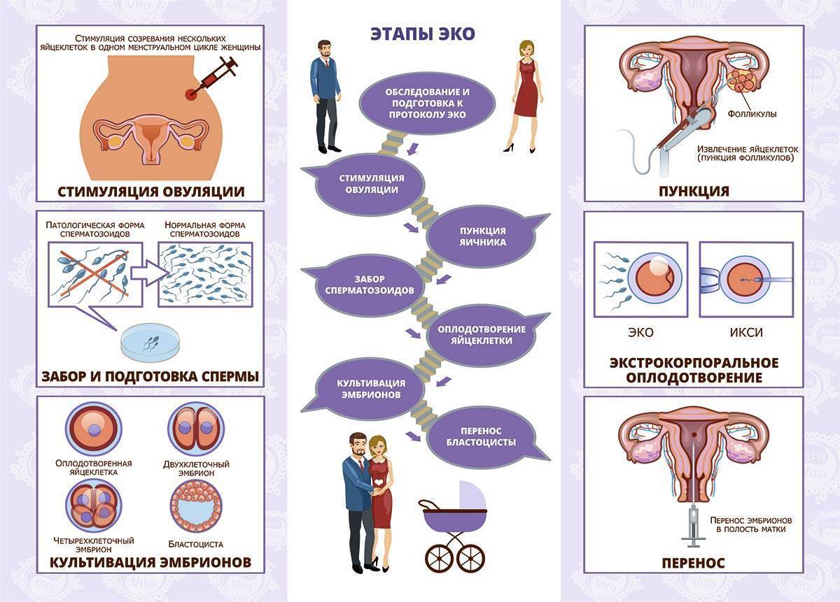 Криоперенос после неудачного эко: когда делать  - статья репродуктивного центра «за рождение»
