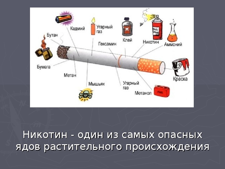 Вредные привычки и их влияние на здоровье человека - последствия курения, алкоголизма и наркомании