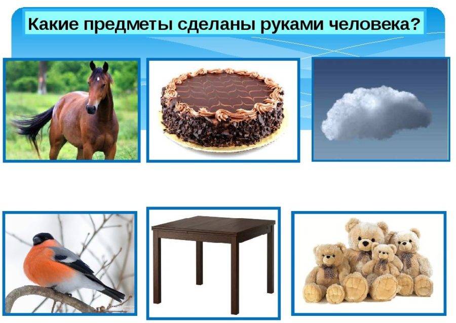 Природный мир и рукотворный мир картинки для детей