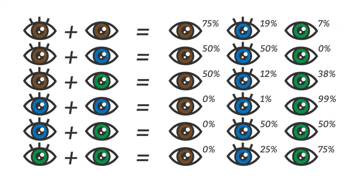 Когда меняется цвет глаз у детей?