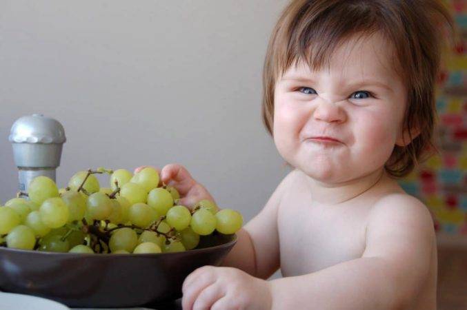 Можно ли виноград при грудном вскармливании новорожденного?