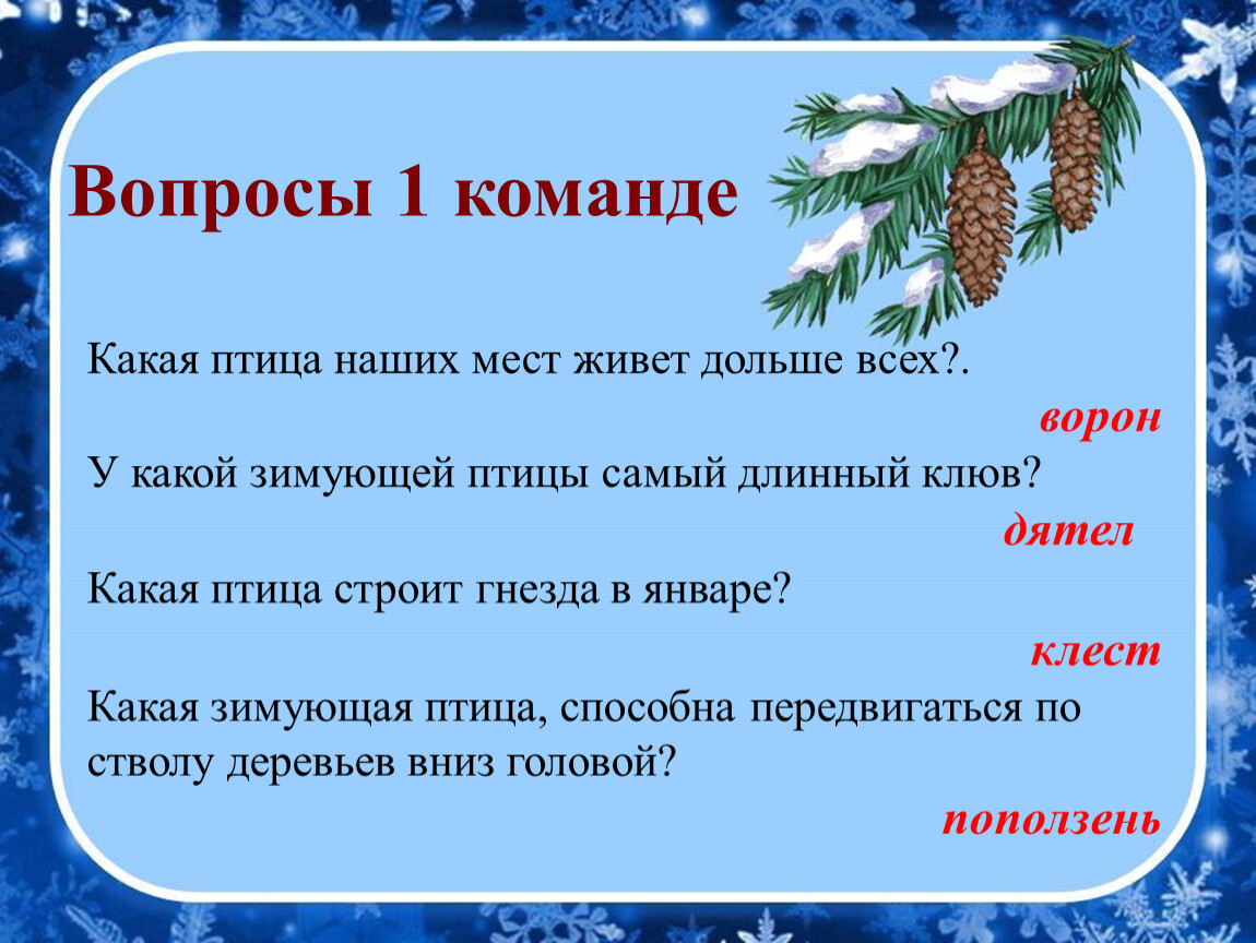 Викторина о птицах для школьников с ответами