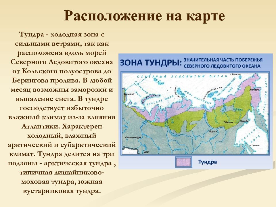 Основные природные зоны, преобладающие в россии: названия и особенности, где находятся