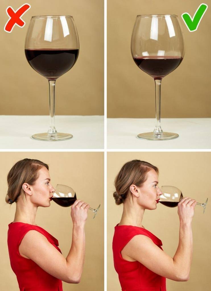 Инструкции как правильно держать бокал с красным и белым вином, шампанским, мартини ⛳️ алко профи