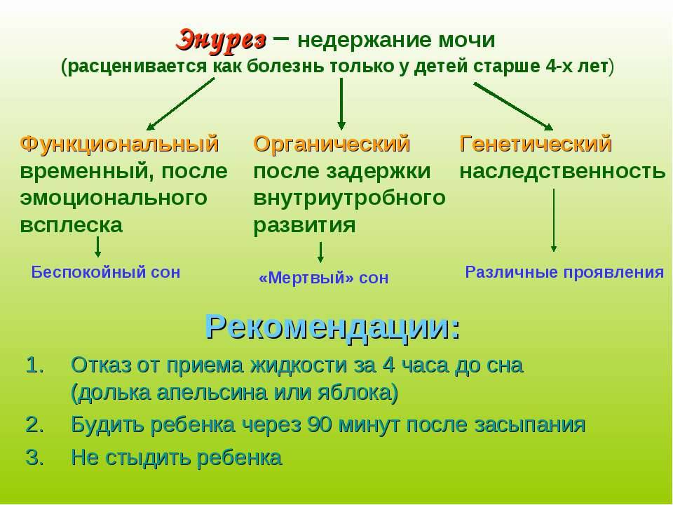 Детский энурез: причины и лечение