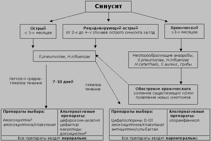 Как лечить вазомоторный ринит: хроническая и аллергическая формы, препараты, капли