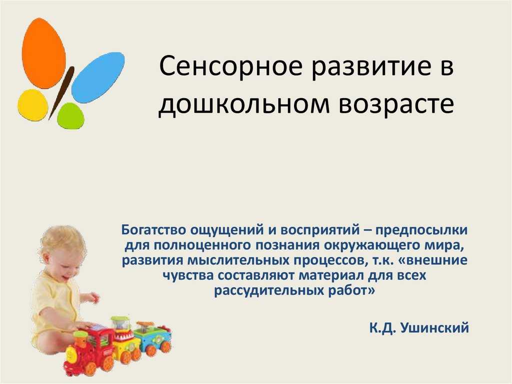 Сенсорное воспитание детей дошкольного возраста
