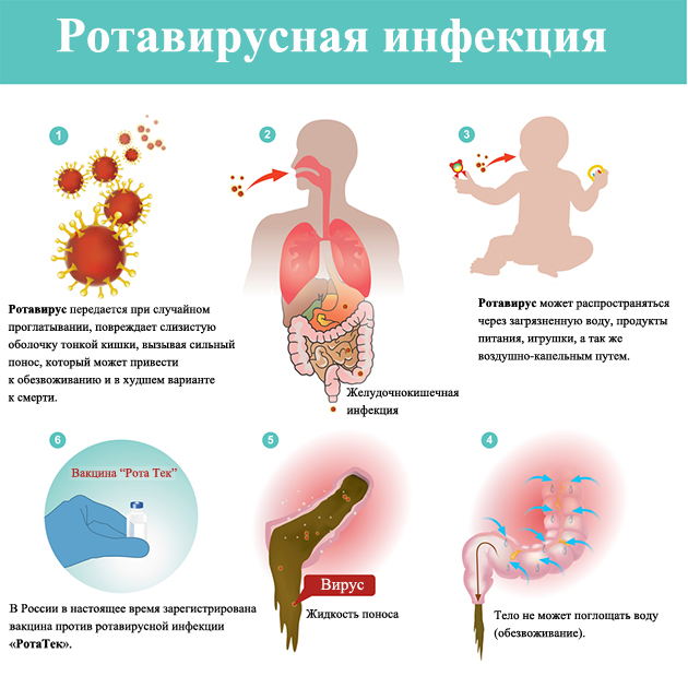 Ротавирусная кишечная инфекция: симптомы и лечение у детей, ротавирус у ребенка, как и чем лечить кишечный грипп с температурой, признаки, инкубационный период