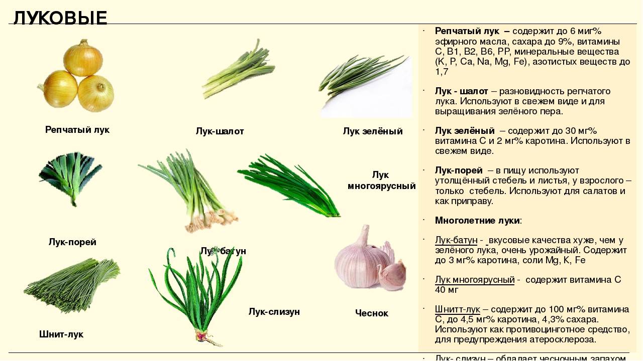 Пищевая аллергия у ребенка до года: симптомы, лечение | nutrilak