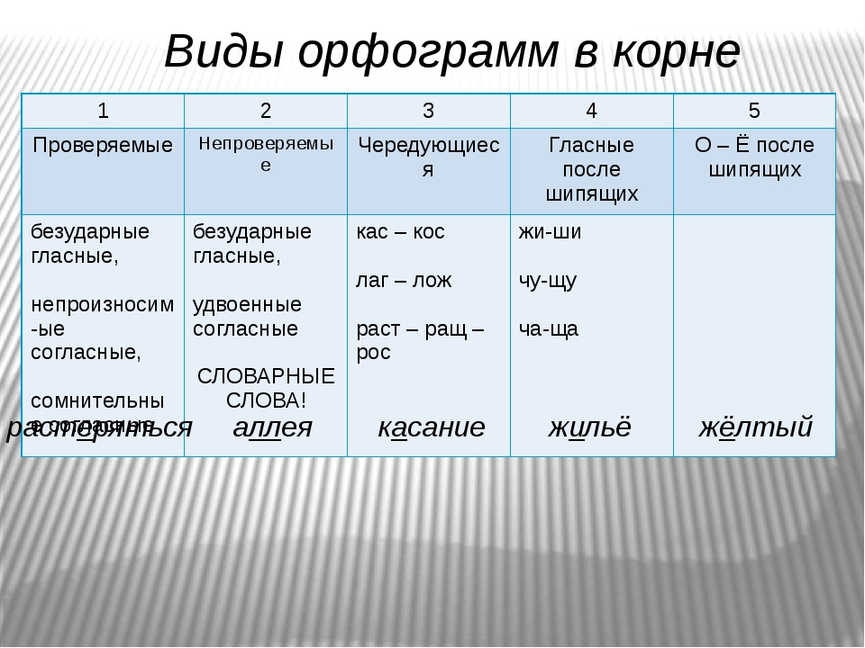 Корень слова. однокоренные слова. написание корня в однокоренных словах