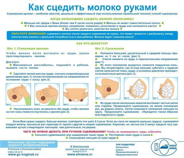 Грудное кормление новорожденных сразу после родов:  практические советы и инструкции