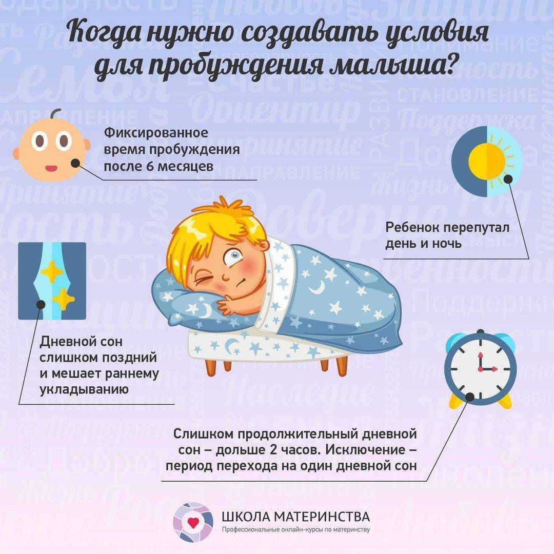Режим сна и бодрствования новорожденного: что нужно знать родителям - parents.ru