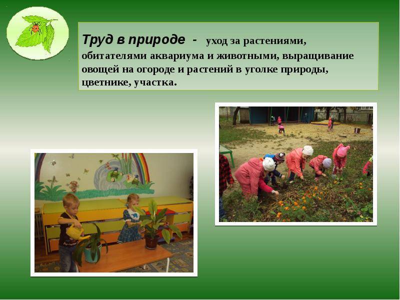 Трудовое воспитание в детском саду, мотивы побуждающие дошкольника к деятельности, конспект, виды, проект