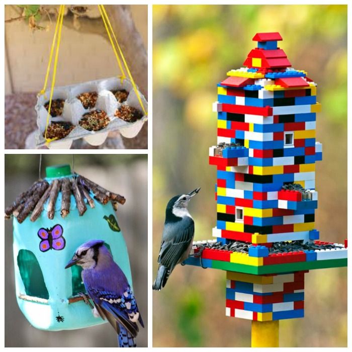Простые и оригинальные идеи для тех, кто не знает, как сделать кормушку для птиц своими руками из подручных материалов
