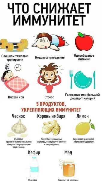 Почему ребенок часто болеет и как укрепить иммунитет, рассказывает главный специалист аллерголог-иммунолог ульяновской области александр черданцев
