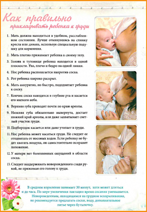 Как стимулировать лактацию - wikihow