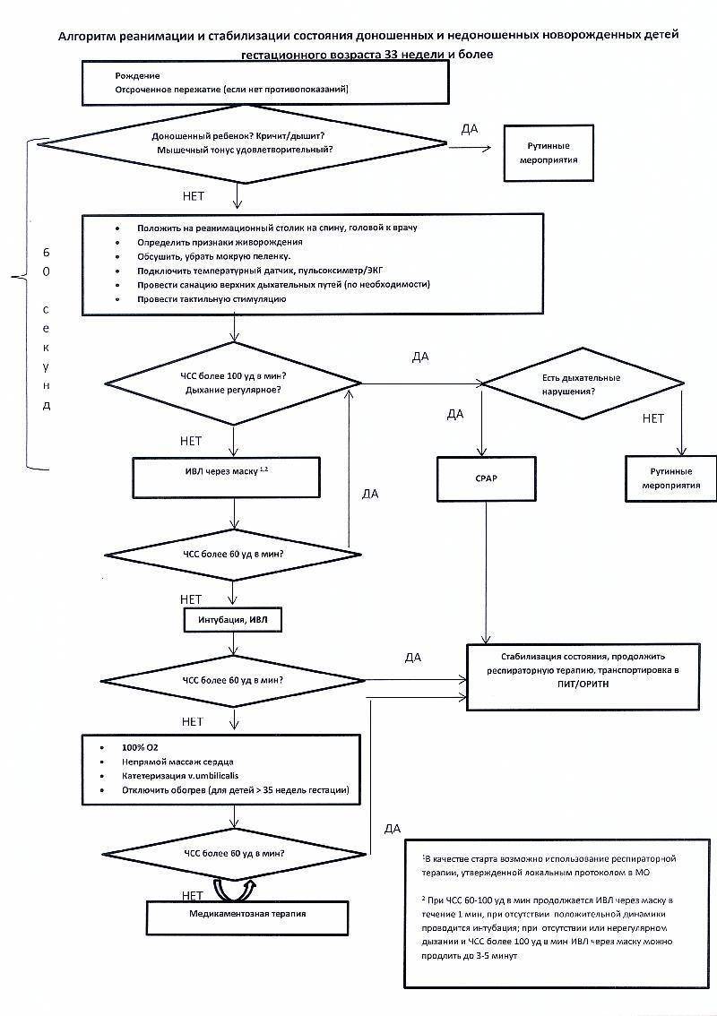 Алгоритмы новорожденных. Схема первичной реанимации новорожденного. Алгоритм реанимации новорожденных в родильном зале. Алгоритм первичной реанимации новорожденного. Алгоритм проведения реанимации новорожденного в родильном зале..