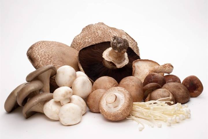 Можно грибы кормящим мамам. Грибы на продуктах питания. Шампиньоны источник белка. Шампиньоны с витамином д. Грибы при грудном вскармливании.