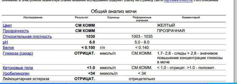 Анализ мочи, расшифровка -  нормы белка, эритроцитов, лейкоцитов, глюкозы, эпителия, билирубина, цилиндров и бактерий :: polismed.com