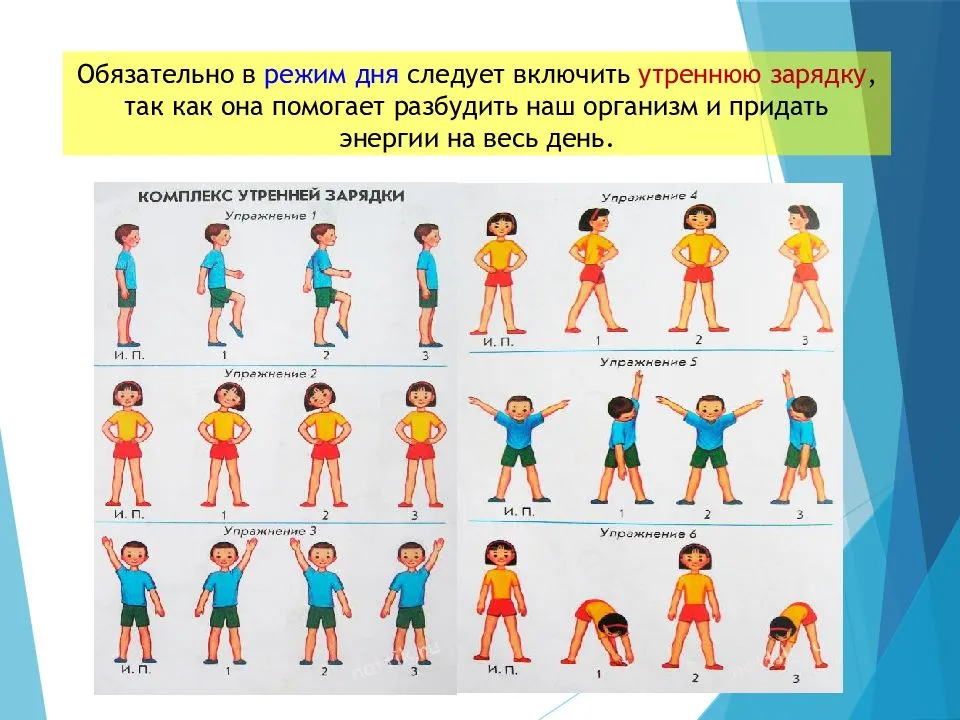 Комплекс упражнений для детей от 2 недель до 3 месяцев | школа «mamapapa»