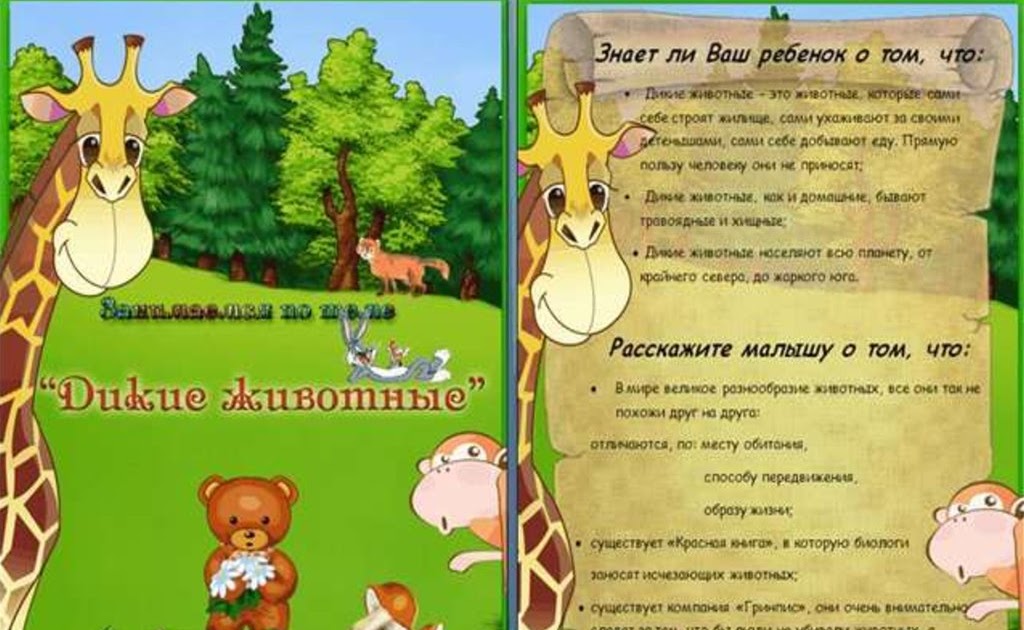 Вот какую опасность представляют питомцы для детей. разговор с педиатром: новости, животные, кошки, собака, педиатр, заболевания, домашние животные