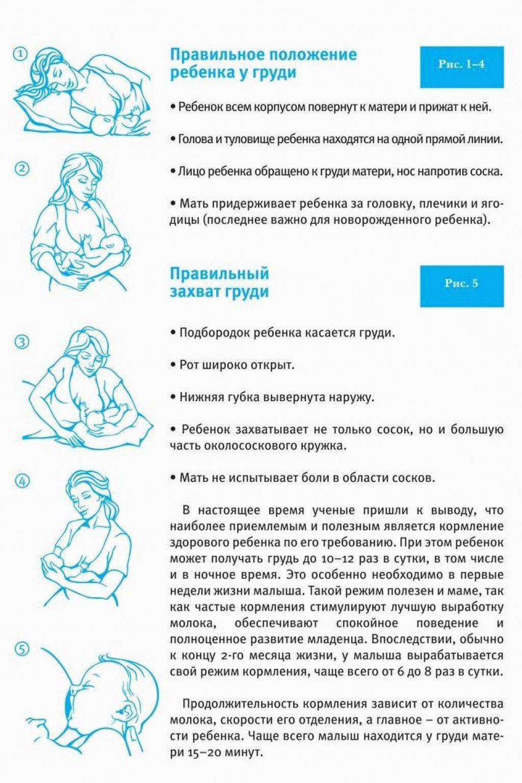 Режим кормящей матери. Как правильно приложить ребенка к грудному вскармливанию. Правильное положение для кормления новорожденного грудным молоком. Как правильно приложить ребенка к грудному вскармливанию лежа. Правильное положение младенца при грудном вскармливании.