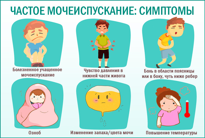 Если ребенок часто писает: что делать и как вылечить